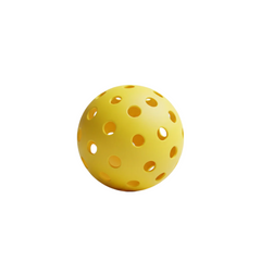 GEKE SPORTS "Rally" Outdoor Pickleball